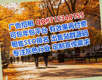怀安代怀信息技术公司